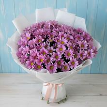 Букет цветов из:  Хризантемы в Стрелецкое