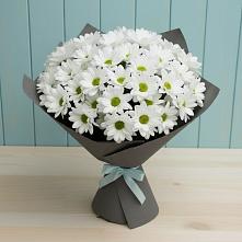 Букет цветов из:  Хризантемы в Стрелецкое