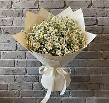 Букет цветов из:  Ромашки #REPLACE_PRED# Стрелецкое