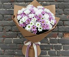 Букет цветов из:  Хризантемы #REPLACE_PRED# Стрелецкое