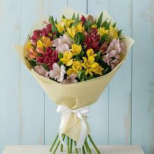 Букет цветов из:  Альстромерии в Стрелецкое