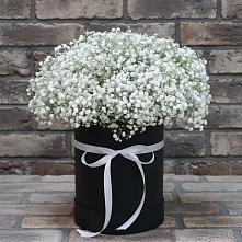 Цветочная композиция из Гипсофила в шляпной коробке в Стрелецкое