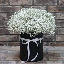 Цветочная композиция из Гипсофила в шляпной коробке в Стрелецкое