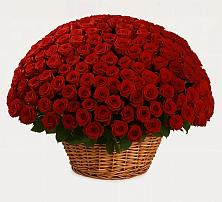 Премиум букет из: Розы в Стрелецкое