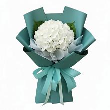 Букет цветов из:  Гортензия в Стрелецкое